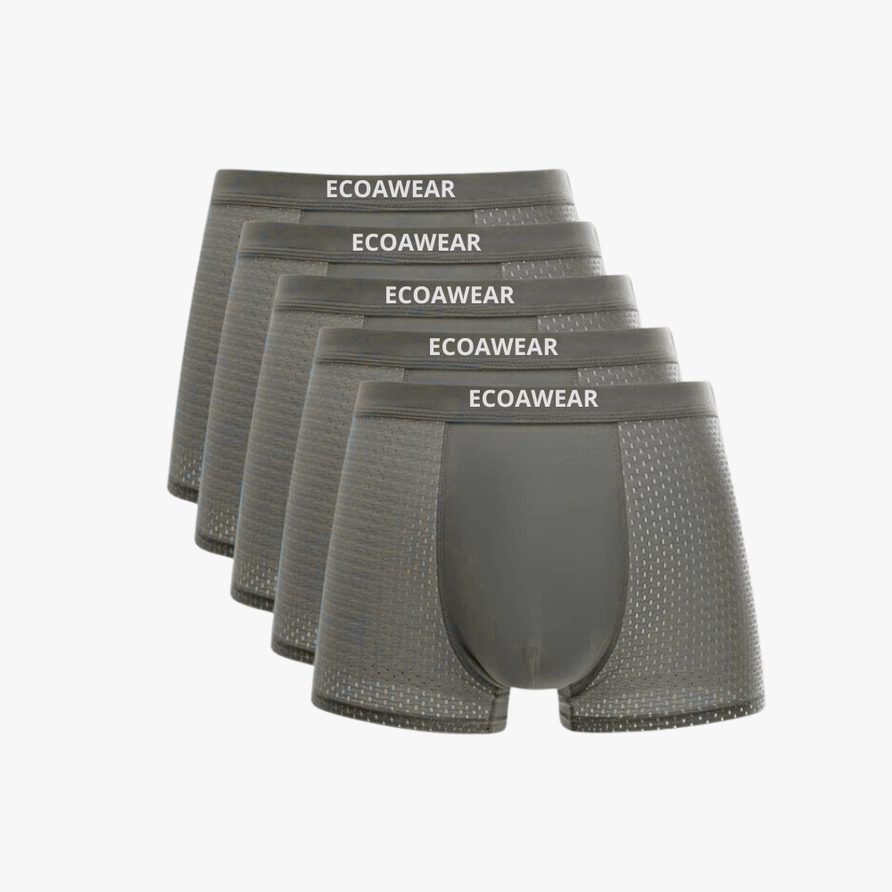 EcoaWear® Bambu Boxers 5-pack