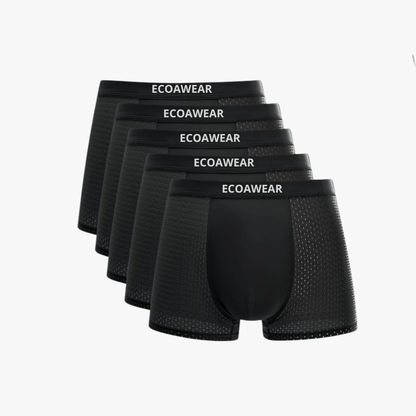 EcoaWear® Bambu Boxers 5-pack
