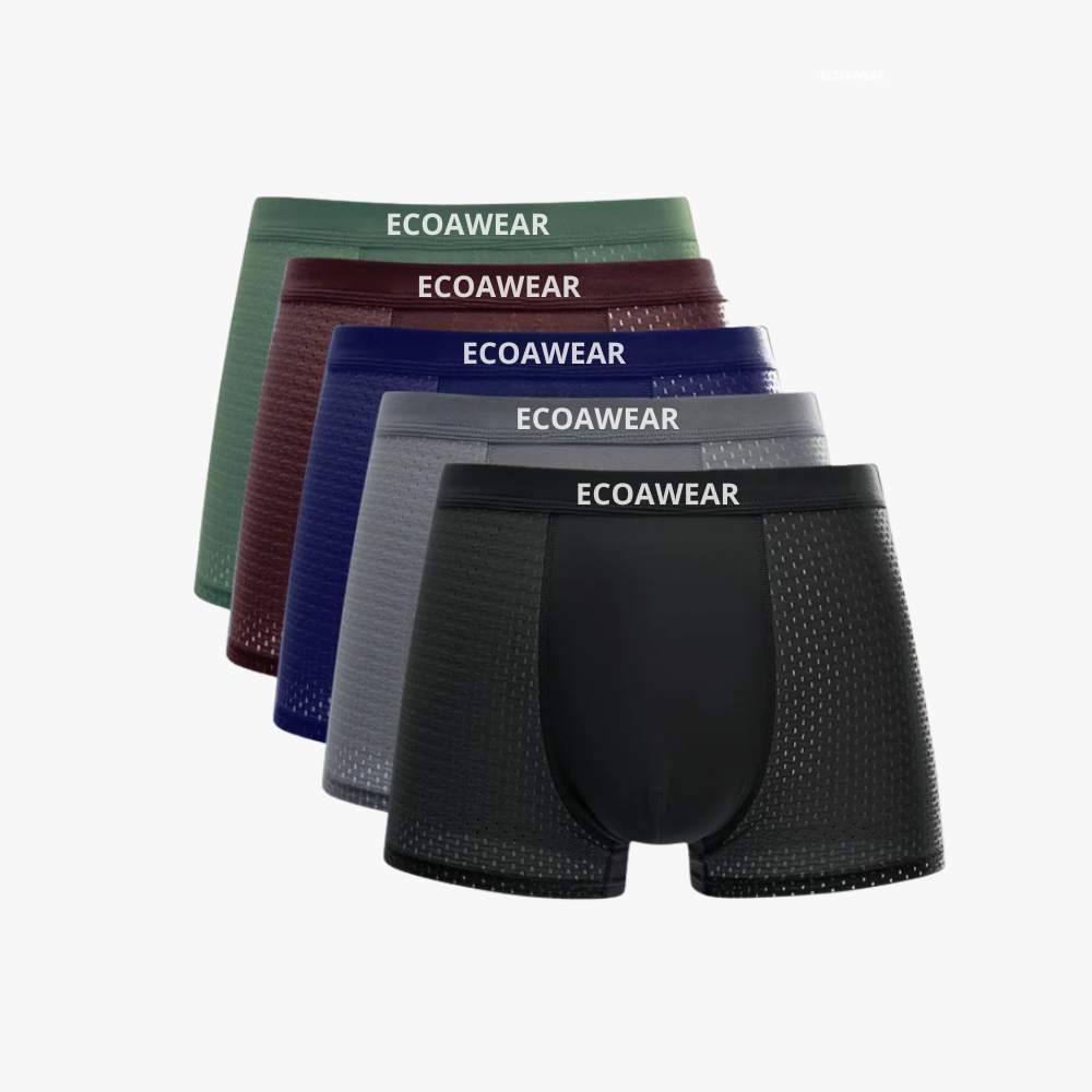 EcoaWear® Bambu Boxers 5-pack